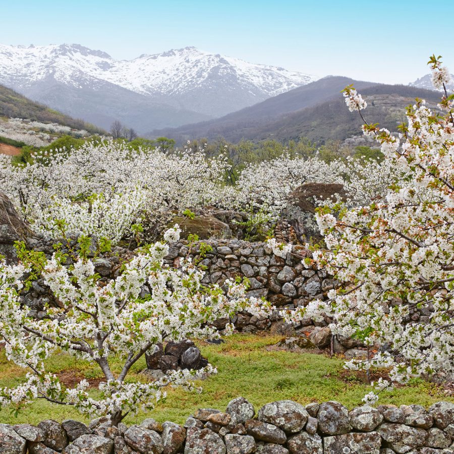 Naturaleza y Excursiones